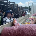 Re A Spana Programme Fights Crime in Tshwane – Mayor Leads Cleanup with TMPD, SAPS & Home Affairs