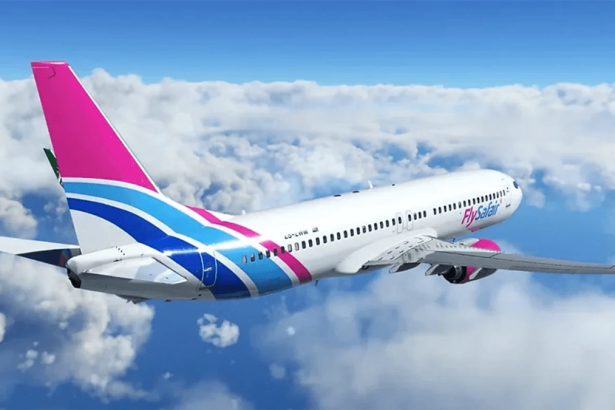 FlySafair's Ownership Breach: Licensing Authority Warns of 'Catastrophic' Industry Impact