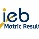 IEB Matric Results 2024