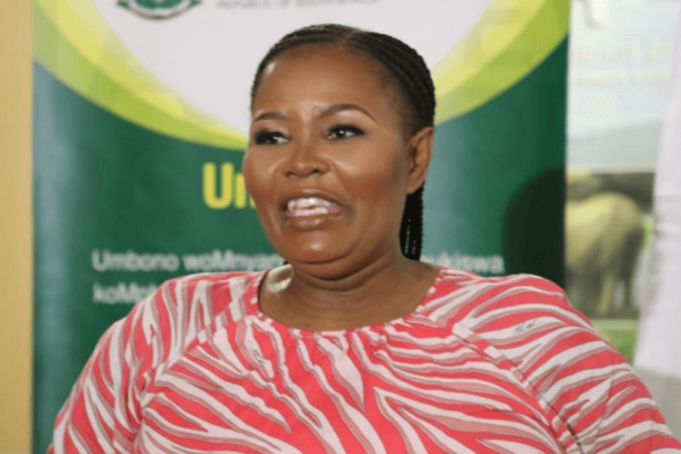 Speedster Crashes Into KZN MEC on N3: A Close Call for Mbali Shinga