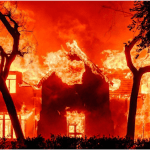 LA Fires Update: Death Toll Rises to 24 as Santa Ana Winds Intensify