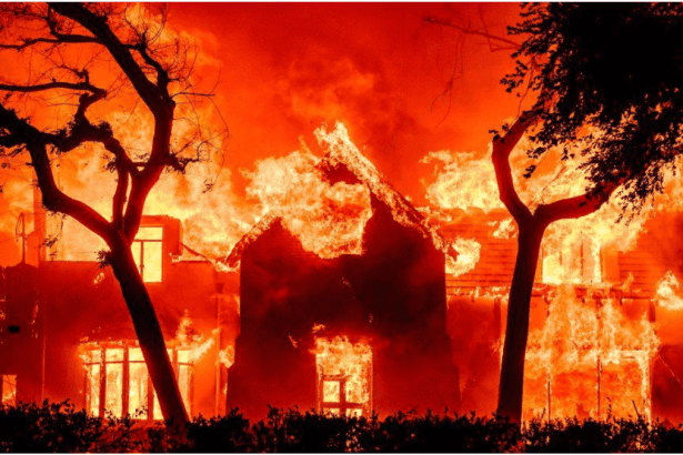 LA Fires Update: Death Toll Rises to 24 as Santa Ana Winds Intensify