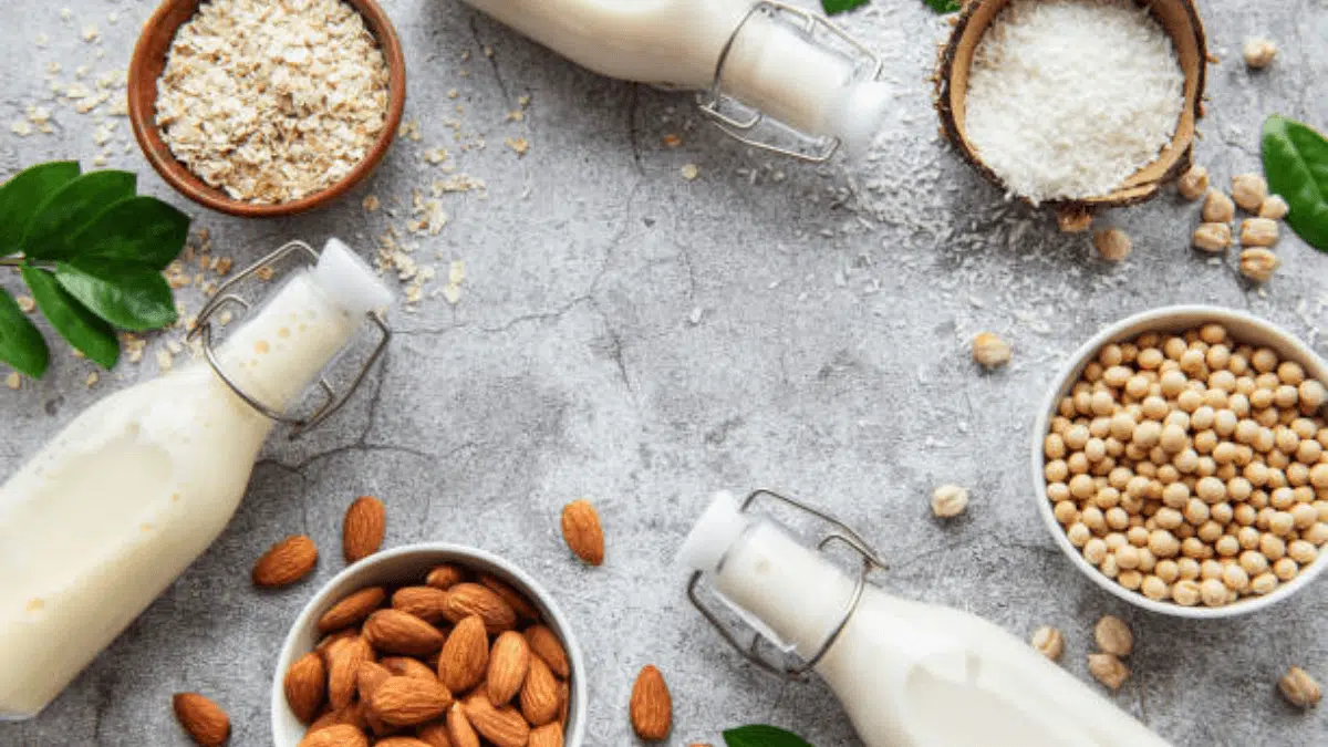 Lactose Intolerance? 10 Safe Foods You Can Enjoy Without Digestive Worries