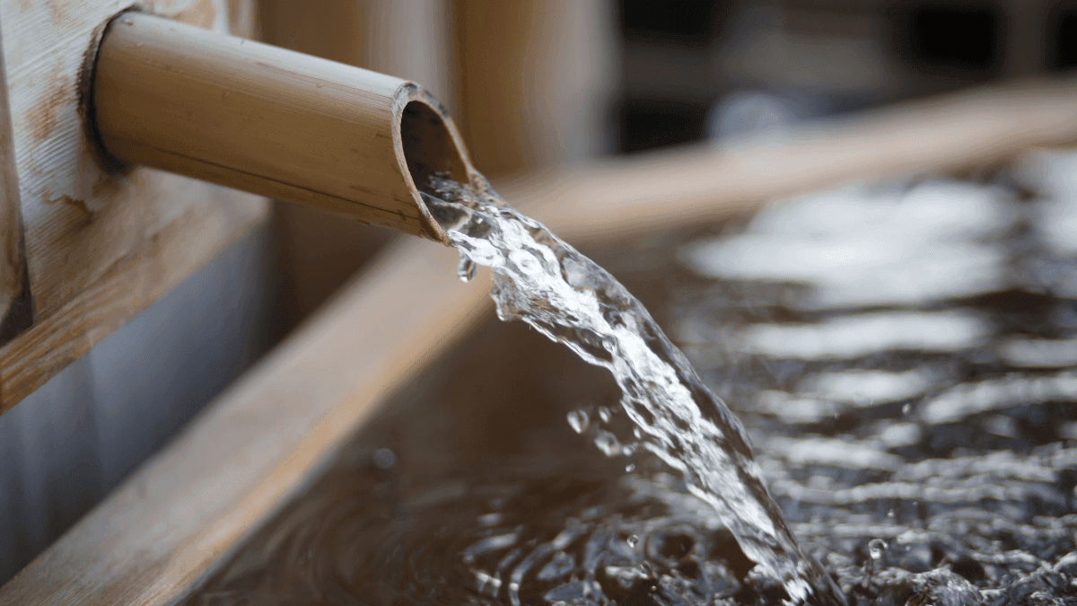 National Treasury and DWS Unite to Address Johannesburg's Water Crisis