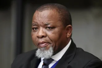 Gwede Mantashe Claps Back at Trump: ‘No Money, No Minerals’ in Response to US Funding Cut