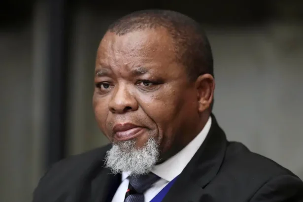 Gwede Mantashe Claps Back at Trump: ‘No Money, No Minerals’ in Response to US Funding Cut