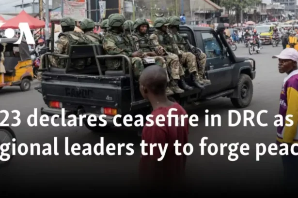 Ceasefire in DRC as Hundreds Protest in Pretoria – Ramaphosa Stands by SANDF Deployment