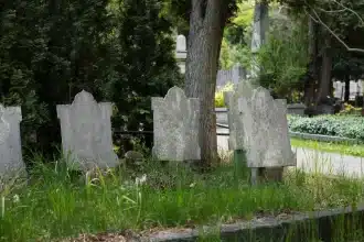 ‘We Will Remember Them’: South Africa Honors Fallen SANDF Soldiers in Emotional Farewell