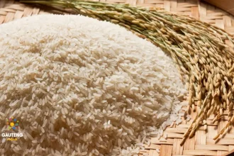 Pick n Pay vs Woolies vs Checkers - Which Store Has the Cheapest 2kg Rice Deal?
