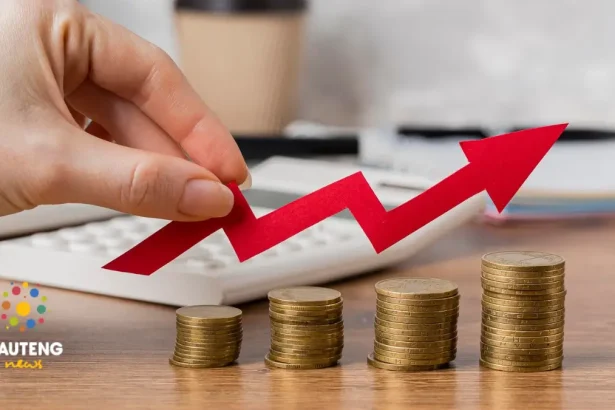 2% VAT Hike Debate: Is South Africa Already Over-Taxed?