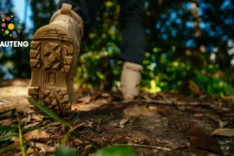 Best Hiking Trails for All Levels: From Beginners to Pros, Plus Expert Tips