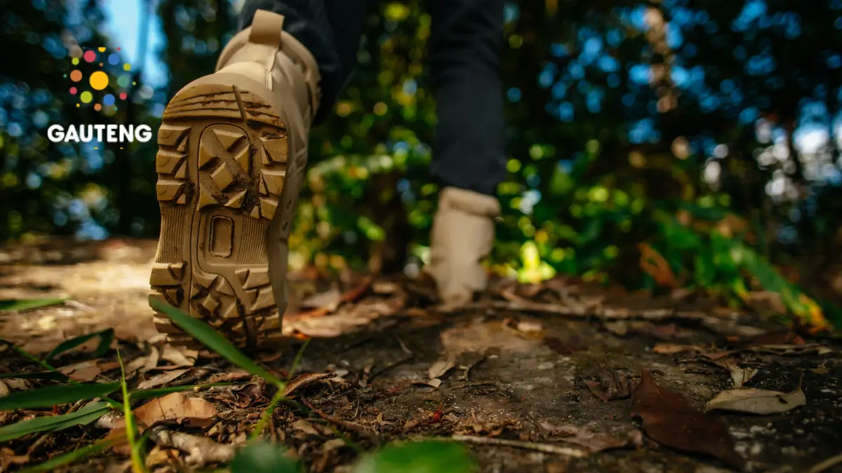 Best Hiking Trails for All Levels: From Beginners to Pros, Plus Expert Tips
