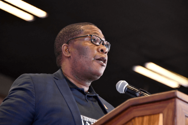 Gauteng SOPA 2025: Lesufi’s Bold Plan to Tackle 13 Key Challenges & Boost Education