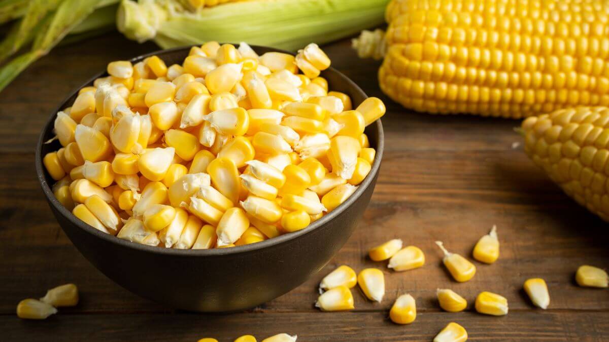 Maize Meal