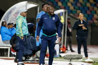 Marumo Gallants Axe Coach Malesela and Ntseki in Bid to Avoid Relegation