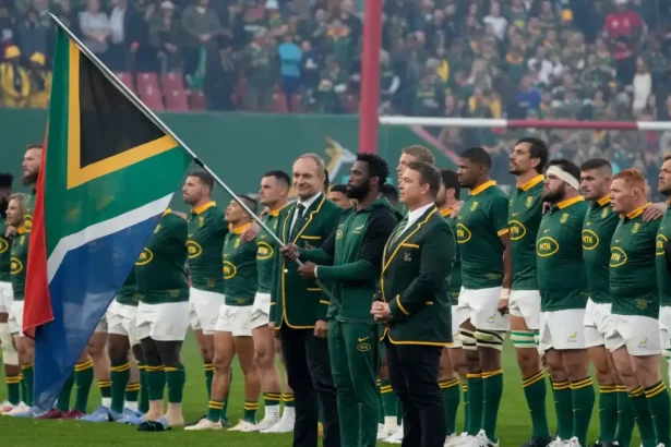 Springboks vs Bafana vs Proteas - Who Earns More