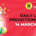 daily lotto predictions