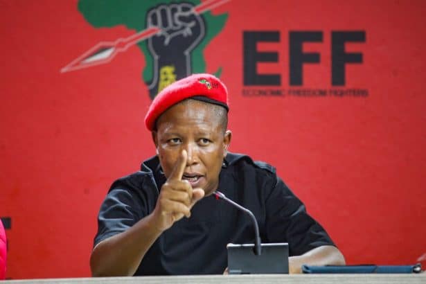 EFF to Continue Chanting 'Kill the Boer' After AfriForum Appeal Dismissed by Court