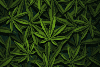 Say Goodbye to Edibles: South Africa Bans Cannabis and Hemp Food Products