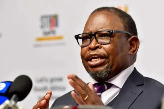 Budget Speech 2025: Can Enoch Godongwana Find Solutions Amid SA’s Debt Crisis?