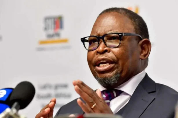 Budget Speech 2025: Can Enoch Godongwana Find Solutions Amid SA’s Debt Crisis?