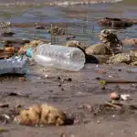 R3bn Wasted: Abandoned Soweto Sewer Project Leaves Residents in Crisis