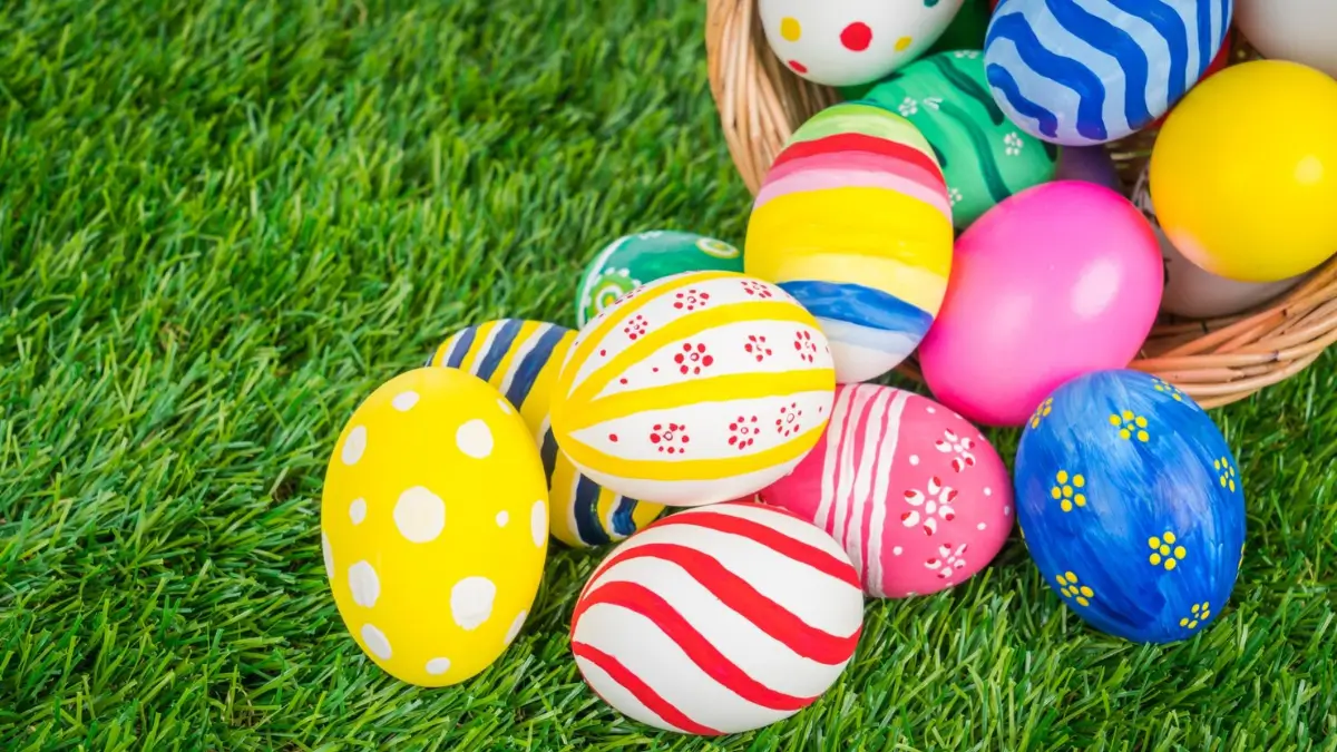 Price Check: How Much Do Easter Eggs Cost at Makro vs Game?