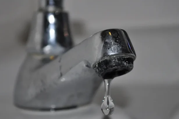 DA Blames Lesufi for Gauteng Water Crisis, Cites Infrastructure Failures