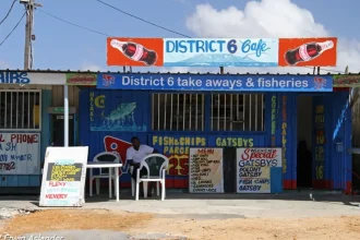 Gauteng Shuts Down 296 Spaza Shops in Crackdown on Illegal Businesses