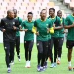 FIFA International Breaks in South Africa in 2025: Key Dates and Competitions