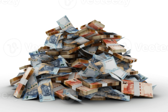 Gauteng Govt Slammed Over R34m Spent on Tembisa Rehab Centre With No Progress in Sight