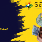 Save SA Calls for SRD Grant Increase as Godongwana Keeps It at R370 in Budget 2025