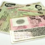 South Africa Faces Severe Driver's Licence Backlog as Transport Department Struggles with Crises