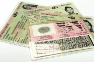 South Africa Faces Severe Driver's Licence Backlog as Transport Department Struggles with Crises