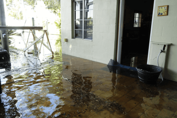 Joburg Floods: Residents Recall Terrifying Storm as Heavy Rains Cause Chaos