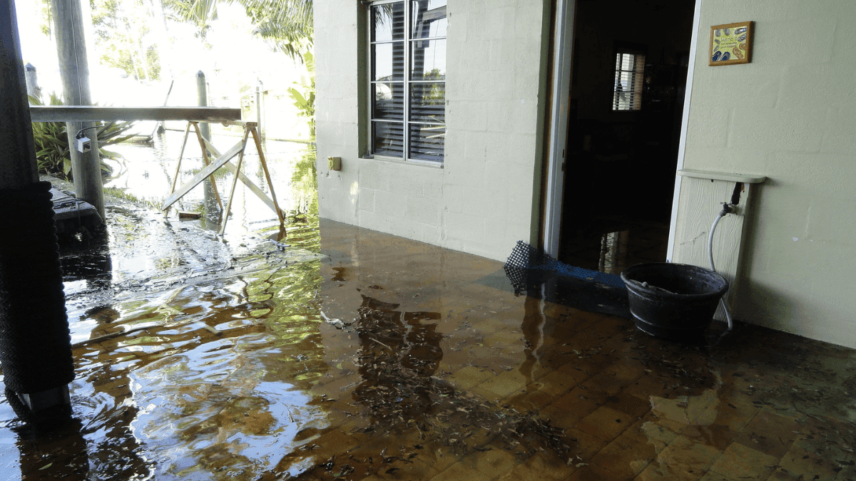 Joburg Floods: Residents Recall Terrifying Storm as Heavy Rains Cause Chaos