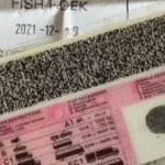 60,000 Driver’s Licence Applications, But No Cards South Africa’s Ongoing DLCA Crisis