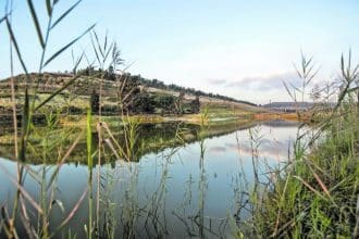 How Reverse Osmosis Plants Will Combat Acid Mine Drainage and Minimise Water Stress in Gauteng