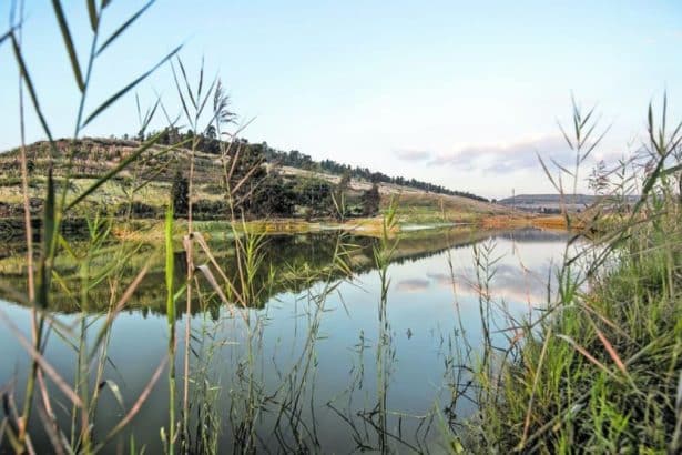 How Reverse Osmosis Plants Will Combat Acid Mine Drainage and Minimise Water Stress in Gauteng