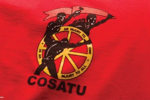 Cosatu Criticizes Employment Equity Bill for 'Shortcomings' and Impact on Economic Growth