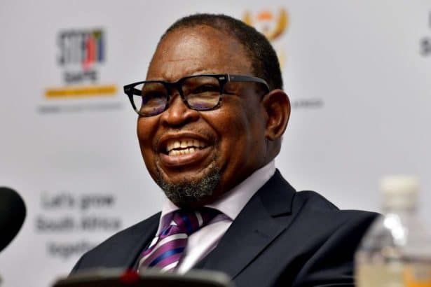 Godongwana Suspends VAT increase: What This Means for South Africans