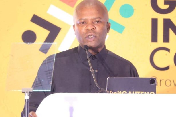 MEC Lebogang Maile's Address at the Gauteng Investment Conference: Key Insights for 2025