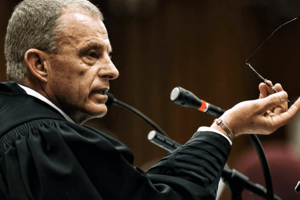 #JusticeForCweCwe: Mother Denies AfriForum's Claims, Accuses Gerrie Nel of Gaslighting