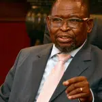 Godongwana Defends VAT Hike as Only Option Amidst Budget Deadlock in South Africa