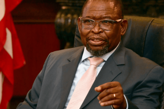 Godongwana Defends VAT Hike as Only Option Amidst Budget Deadlock in South Africa