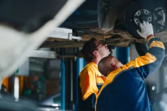 Minister Barbara Creecy Calls on SIU to Probe Corruption at South African Vehicle Testing Stations