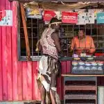 Government Launches R500m Spaza Shop Support Fund – How to Apply and Who Qualifies