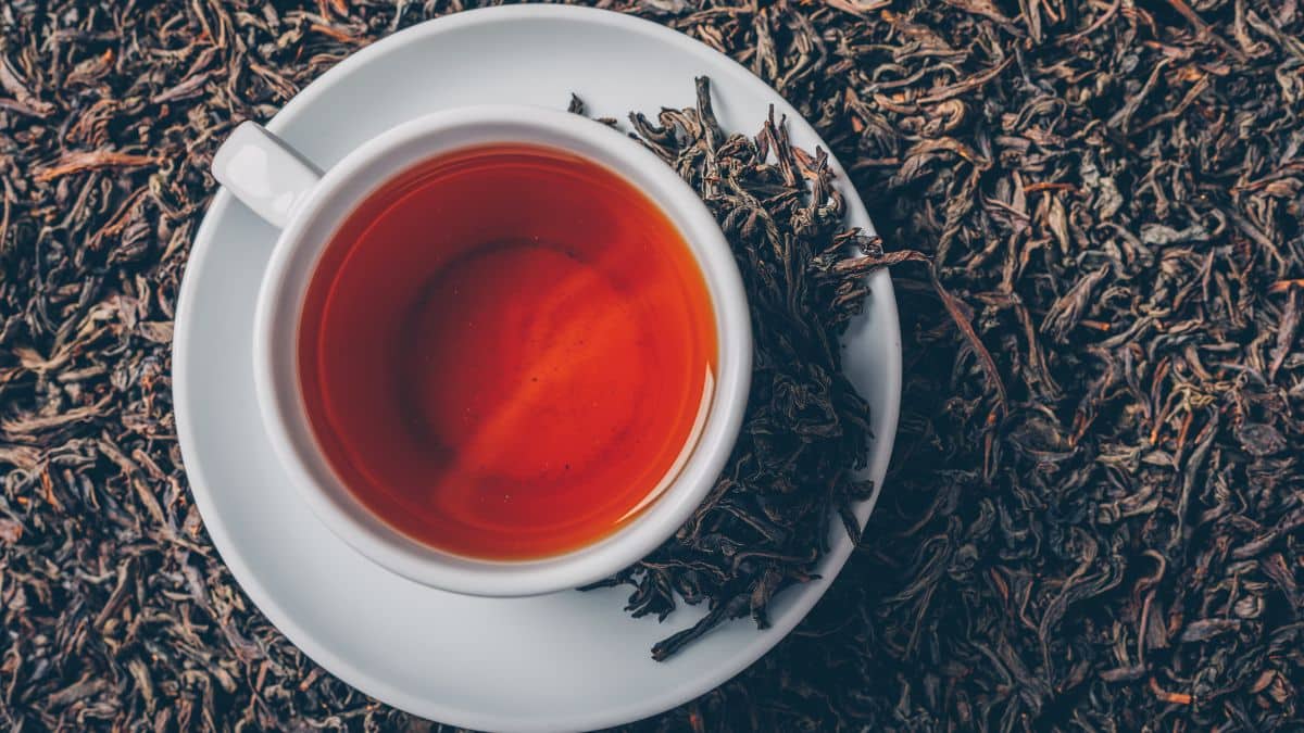 Discover the top 10 teas to help you burn belly fat fast in 2025. Learn how green, oolong, black, and herbal teas can boost metabolism and support weight loss.