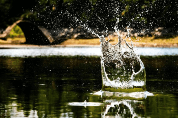 SA Needs R900 Billion to Fix Water Crisis as Government Explores Urgent Funding Solutions