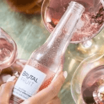 6-Pack Brutal Fruit Apple Spritzer Price Check: Pick n Pay vs Checkers – Who's Got the Better Deal?